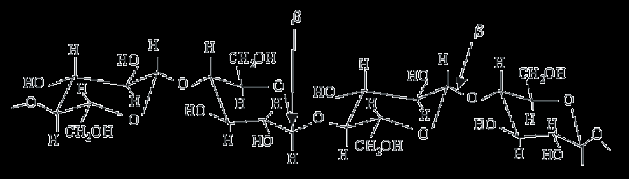 A lignocellulóz alkotóelemei Cellulóz hosszú D-glükóz lánc (kristályos); a