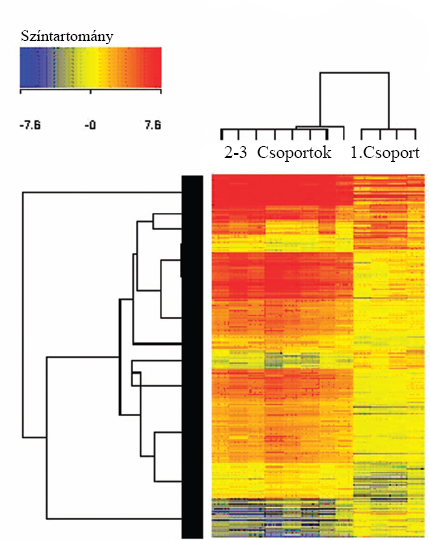 6. ábra. A microarray adatokon elvégzett Self Organizing Map cluster-elemzés.