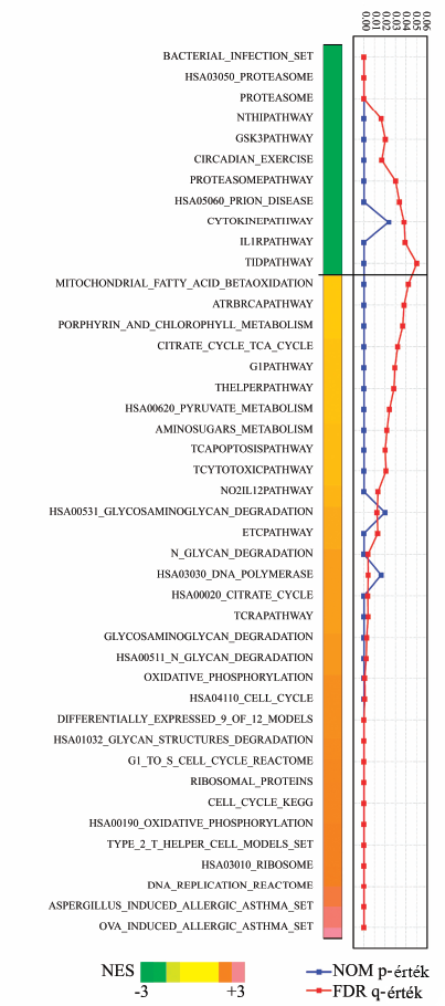 9.ábra. GSEA analízis.