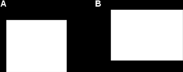 2. IRODLMI ÁTTEKINTÉS 2.1. szerotonin (5-HT) bioszintézise és biotranszformációja z 5-HT az indolaminok csoportjába tartozó vegyület.