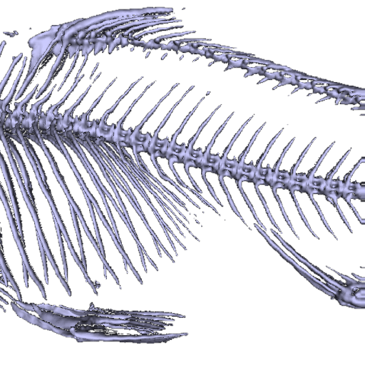 (a) r = 0 (b) r = 1/2 (c) r = 1 4. ábra. Interpoláció az előszűrés nélküli (a) és az interpoláló triköbös B-spline (c) rekonstrukciós sémák között. A (b) ábrán egy közbülső átmenet látható.