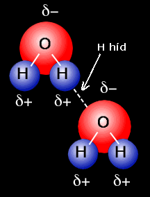 Másodlagos kötések Molekulák között Sokkal gyengébb, mint az elsődleges 1.