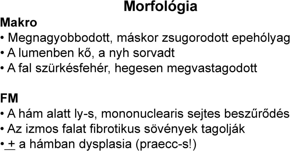 megvastagodott FM A hám alatt ly-s, mononuclearis sejtes