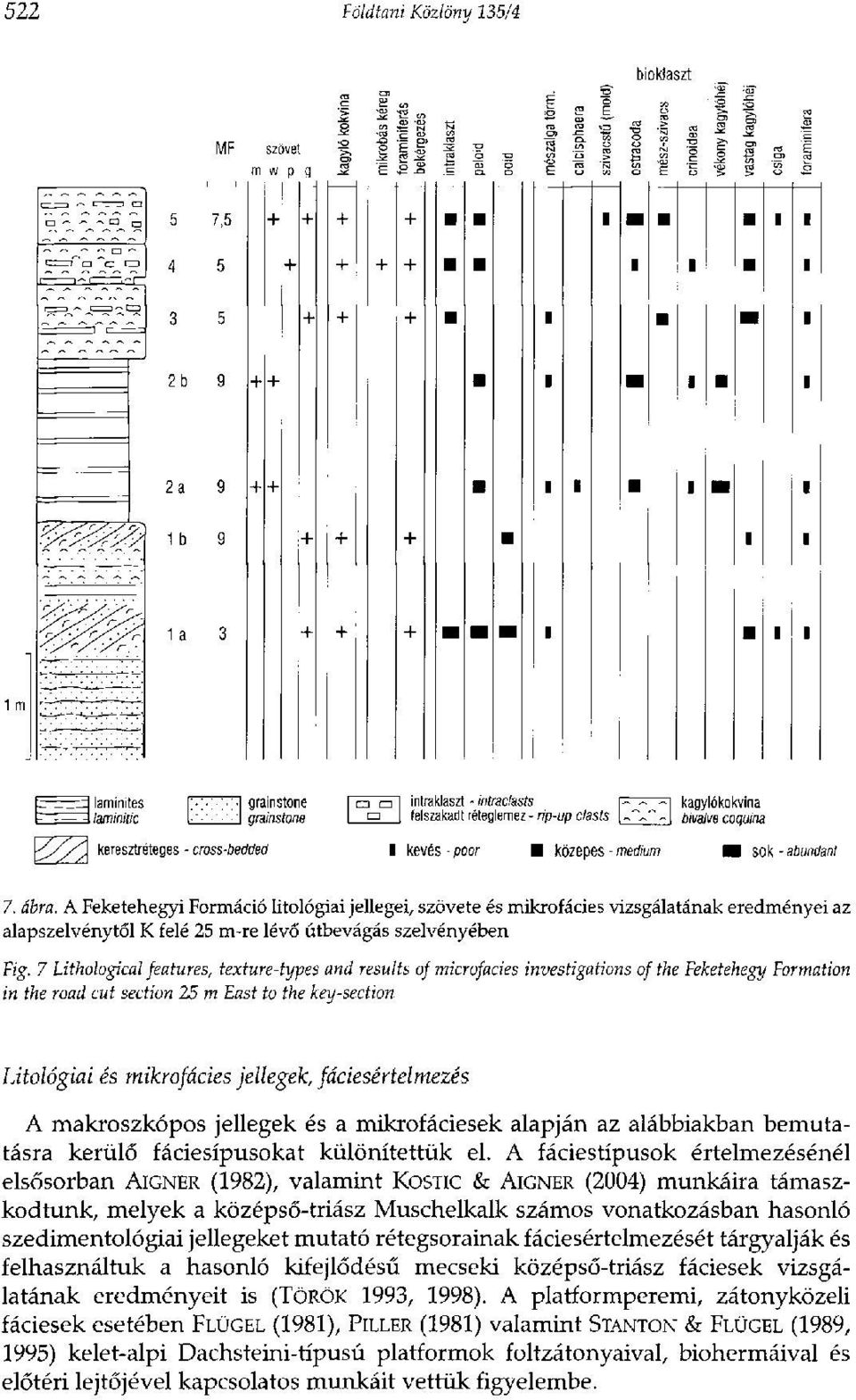 A Feketehegyi Formáció litológiai jellegei, szövete és mikrofácies vizsgálatának eredményei az alapszelvénytől К felé 25 m-re lévő útbevágás szelvényében Fig.