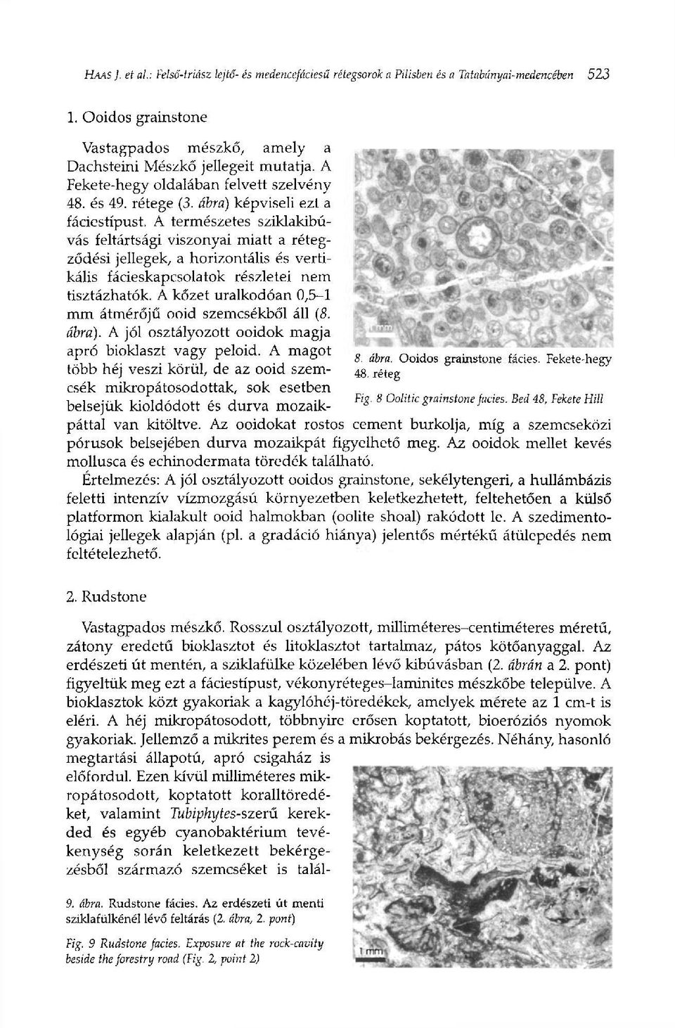 A természetes sziklakibúvás feltártsági viszonyai miatt a rétegződési jellegek, a horizontális és vertikális fácieskapcsolatok részletei nem tisztázhatók.