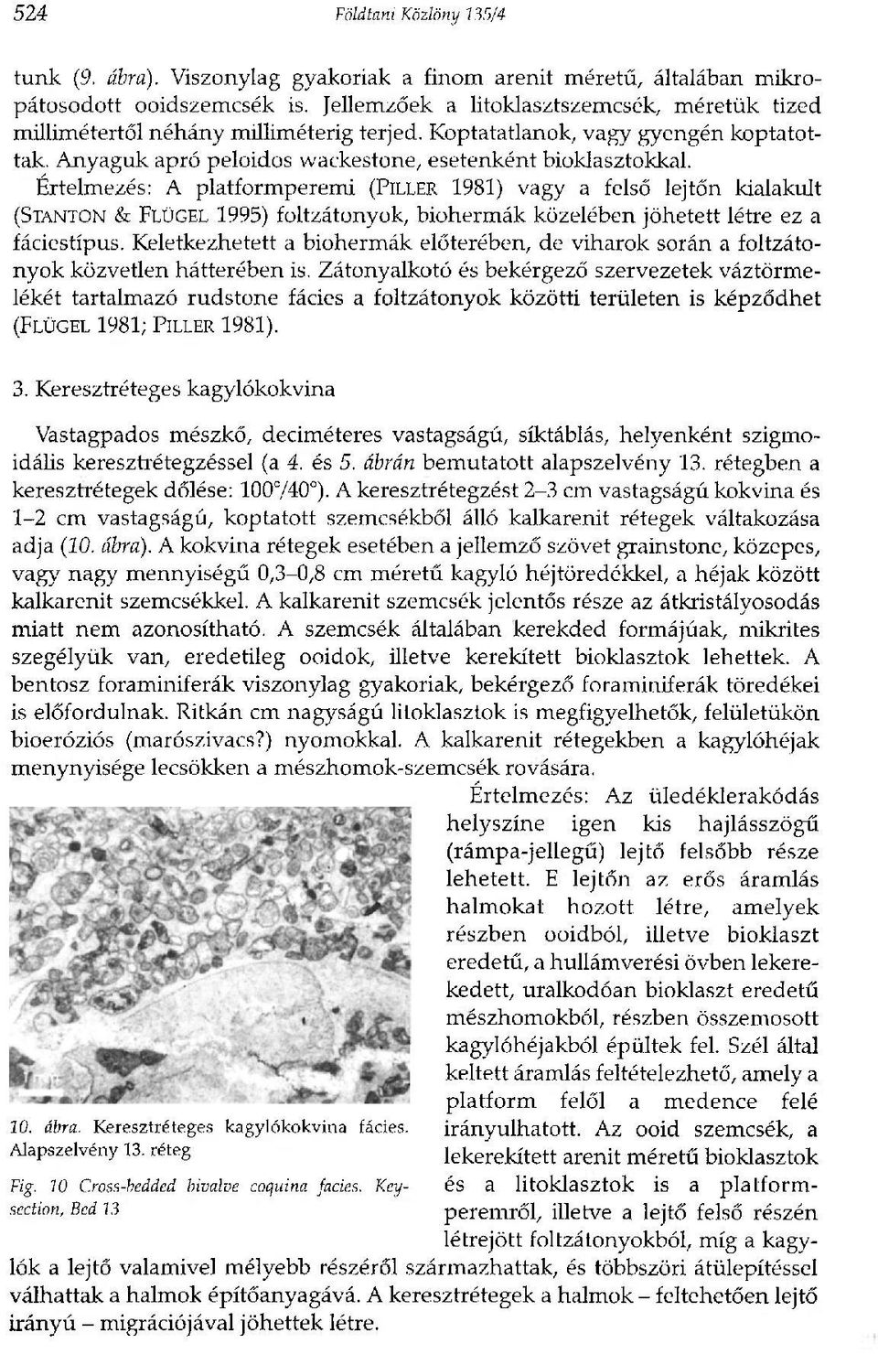 Értelmezés: A platformperemi (PILLER 1981) vagy a felső lejtőn kialakult (STANTON & FLÜGEL 1995) foltzátonyok, biohermák közelében jöhetett létre ez a fáciestípus.