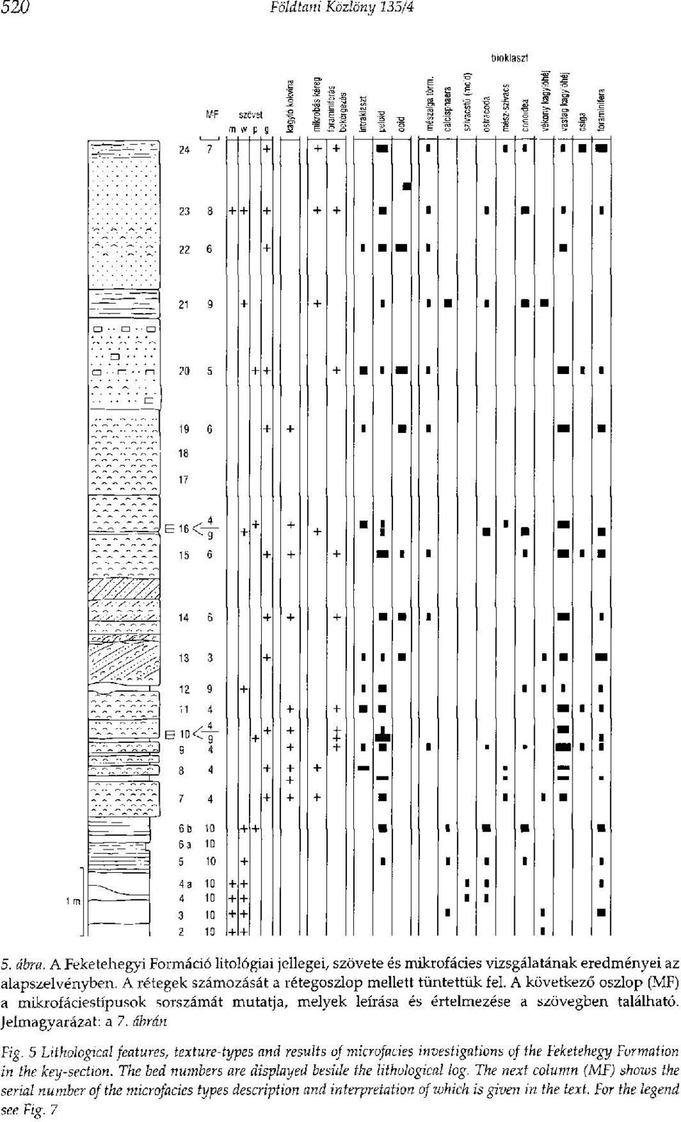 A következő oszlop (MF) a mikrofáciestípusok sorszámát mutatja, melyek leírása és értelmezése a szövegben található. Jelmagyarázat: a 7. ábrán Fig.