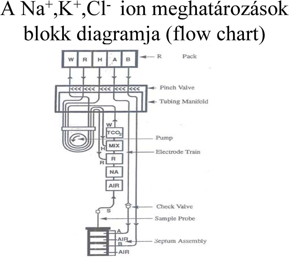 meghatározások