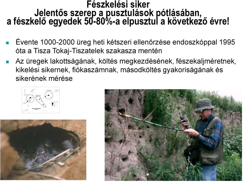 Évente 1000-2000 üreg heti kétszeri ellenőrzése endoszkóppal 1995 óta a Tisza