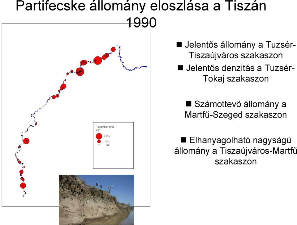 Tokaj szakaszon Számottevő állomány a Martfű-Szeged szakaszon