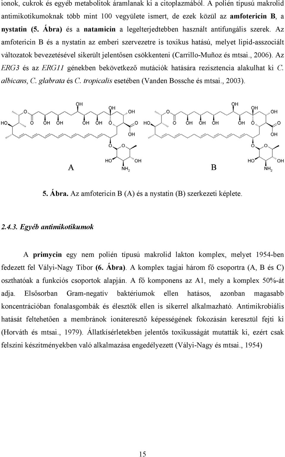 Az amfotericin B és a nystatin az emberi szervezetre is toxikus hatású, melyet lipid-asszociált változatok bevezetésével sikerült jelentősen csökkenteni (Carrillo-Muñoz és mtsai., 2006).