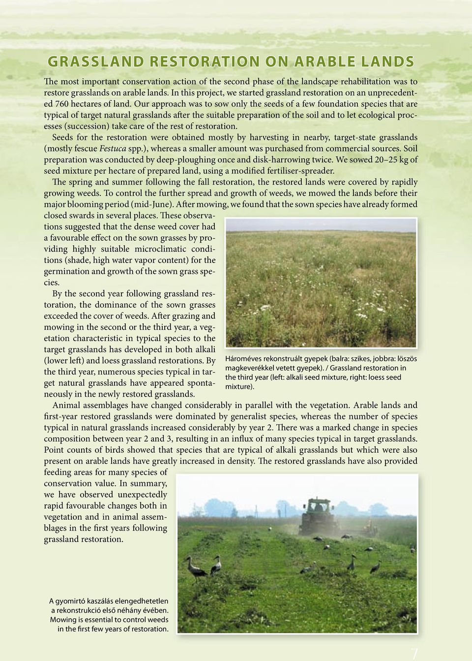 Our approach was to sow only the seeds of a few foundation species that are typical of target natural grasslands after the suitable preparation of the soil and to let ecological processes