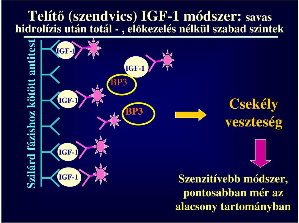 kötött antitest IGF-1 IGF-1 IGF-1 IGF-1 BP3 IGF-1 BP3 Csekély