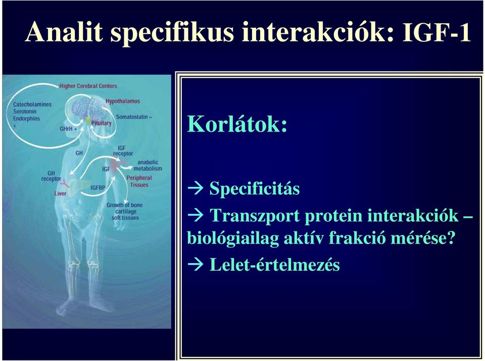 Transzport protein interakciók