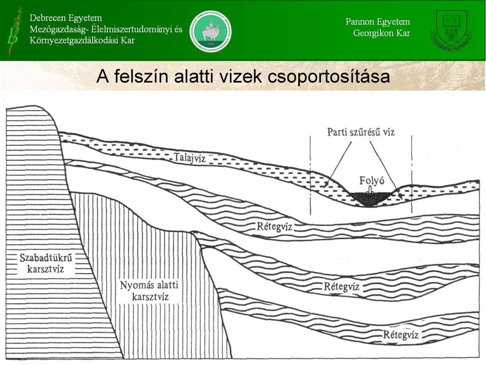 vizek