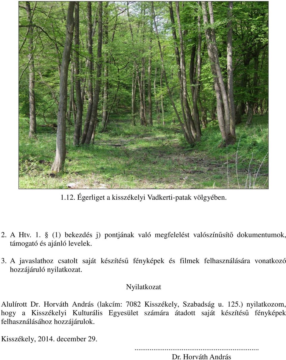 A javaslathoz csatolt saját készítésű fényképek és filmek felhasználására vonatkozó hozzájáruló nyilatkozat. Nyilatkozat Alulírott Dr.