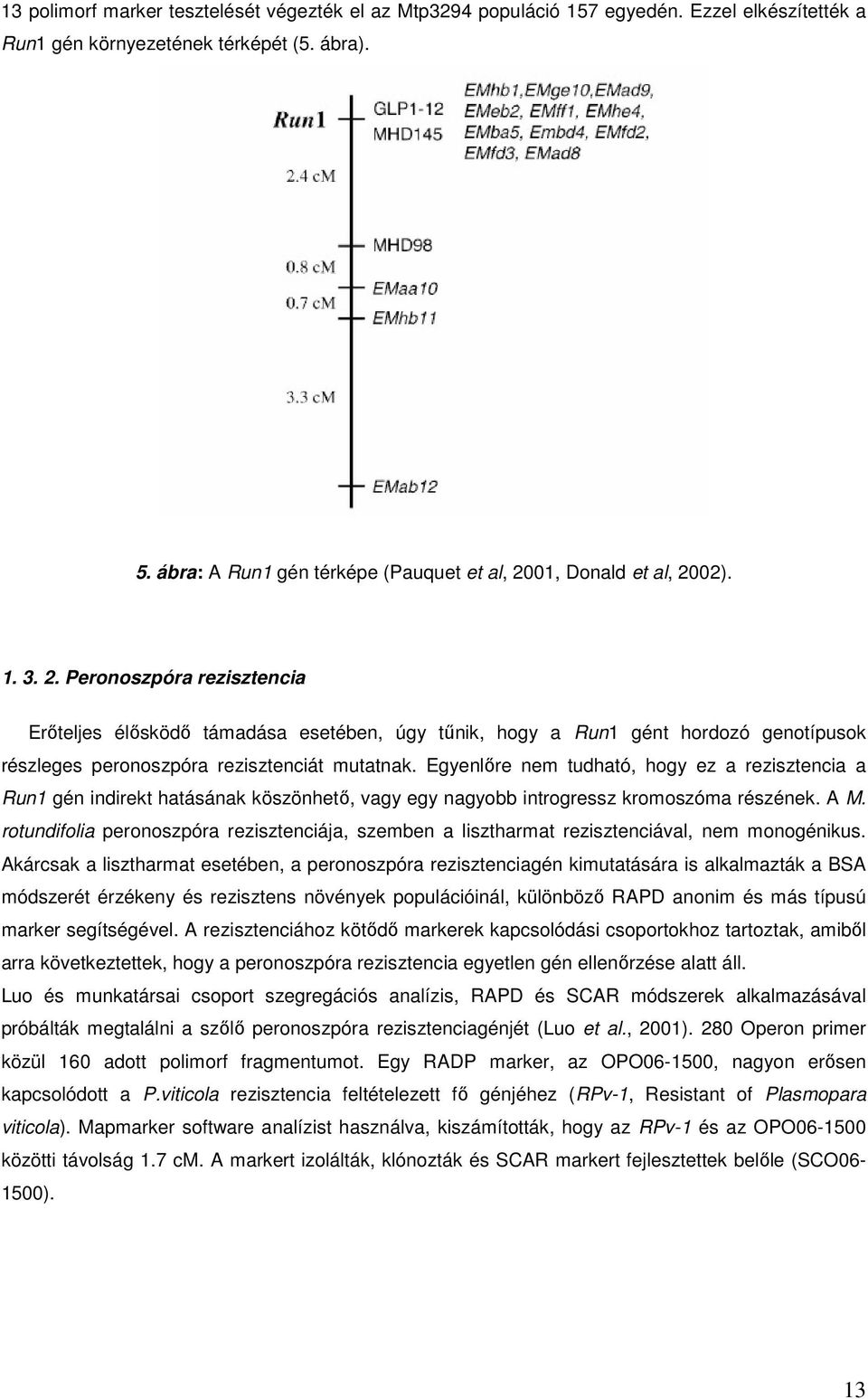 01, Donald et al, 2002). 1. 3. 2. Peronoszpóra rezisztencia Erőteljes élősködő támadása esetében, úgy tűnik, hogy a Run1 gént hordozó genotípusok részleges peronoszpóra rezisztenciát mutatnak.