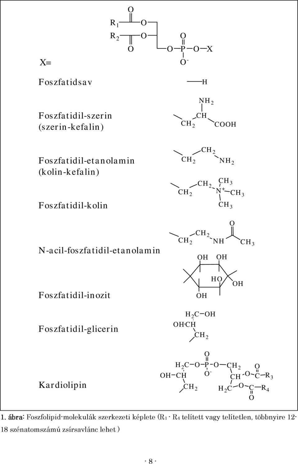 Foszfatidil-inozit OH HO OH Foszfatidil-glicerin OH H 2 C CH CH 2 OH O Ka r diolipin OH H 2 C O CH CH 2 P O CH 2 O O - CH O C H 2 C O C