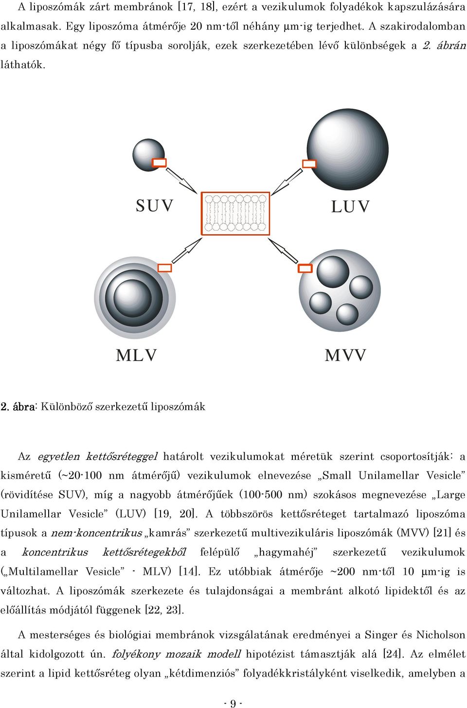. ábra: Különbözı szerkezető liposzómák Az egyetlen kettısréteggel határolt vezikulumokat méretük szerint csoportosítják: a kismérető (~20-100 nm átmérıjő) vezikulumok elnevezése Small Unilamellar