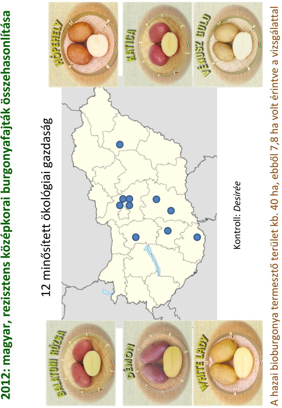 Kontroll: Desirée 12 minősített ökológiai gazdaság