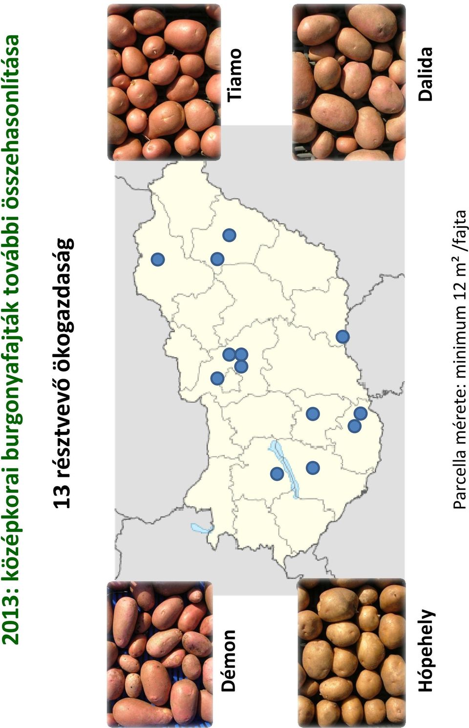 résztvevő ökogazdaság Démon Tiamo