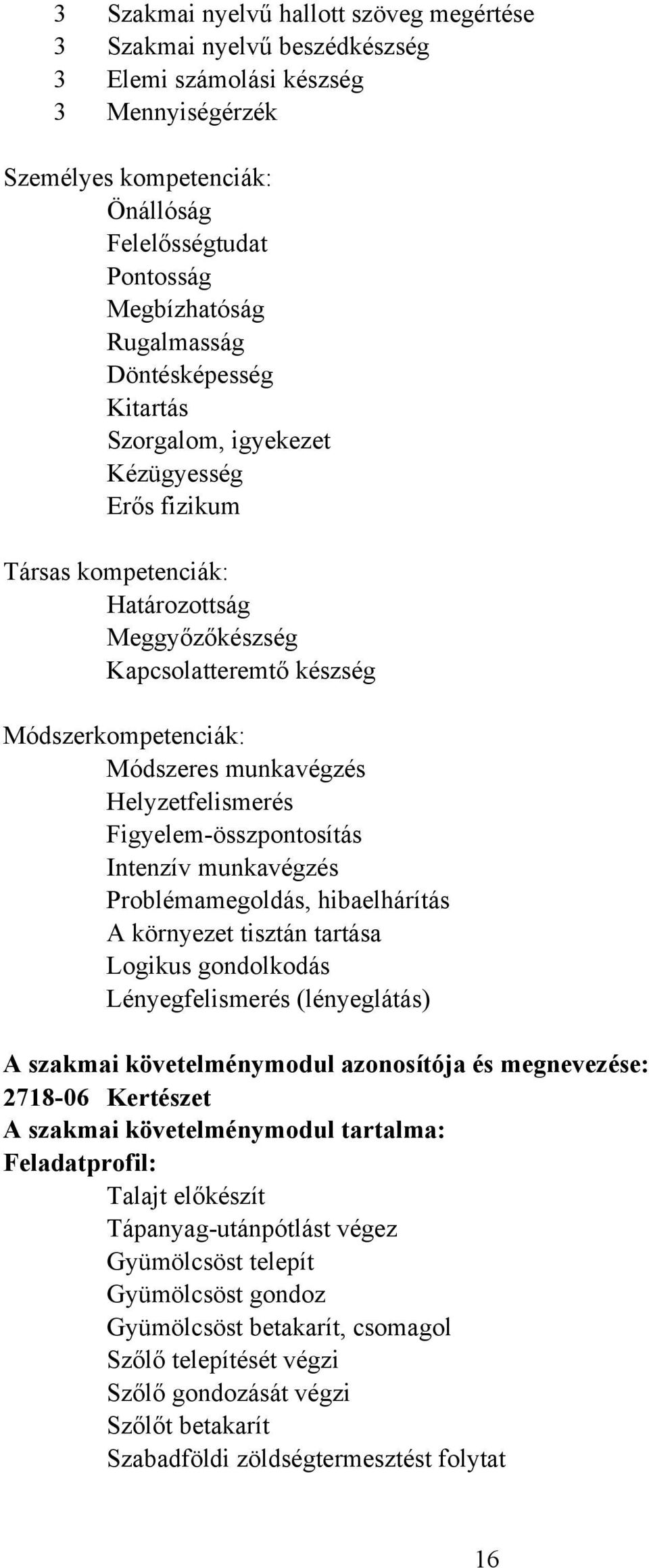 munkavégzés Helyzetfelismerés Figyelem-összpontosítás Intenzív munkavégzés Problémamegoldás, hibaelhárítás A környezet tisztán tartása Logikus gondolkodás Lényegfelismerés (lényeglátás) A szakmai