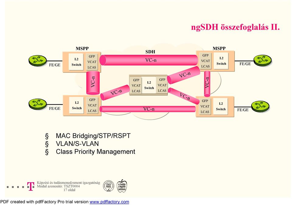 GFP VCAT LCAS SDH VC-n L2 Switch VC-n SDH GFP VCAT LCAS VC-n VC-n GFP VCAT