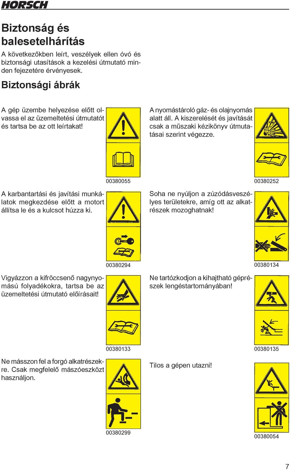 A kiszerelését és javítását csak a műszaki kézikönyv útmutatásai szerint végezze. 00380055 00380252 A karbantartási és javítási munkálatok megkezdése előtt a motort állítsa le és a kulcsot húzza ki.