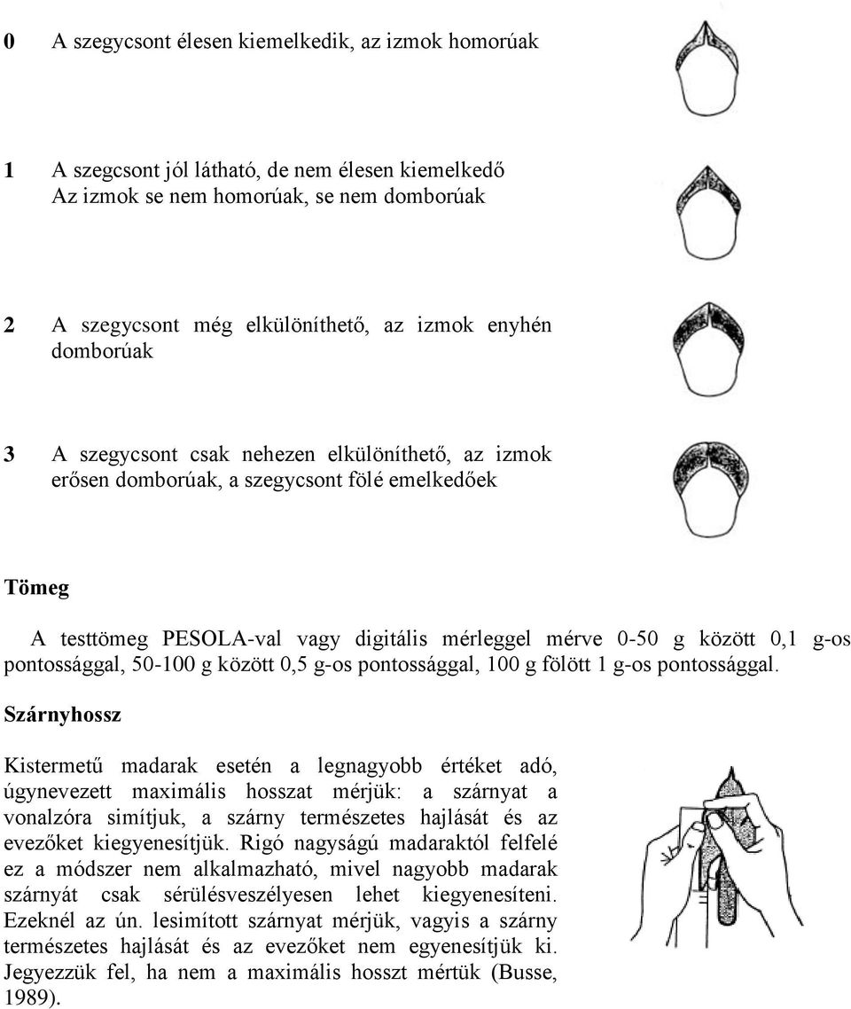 pontossággal, 50-100 g között 0,5 g-os pontossággal, 100 g fölött 1 g-os pontossággal.