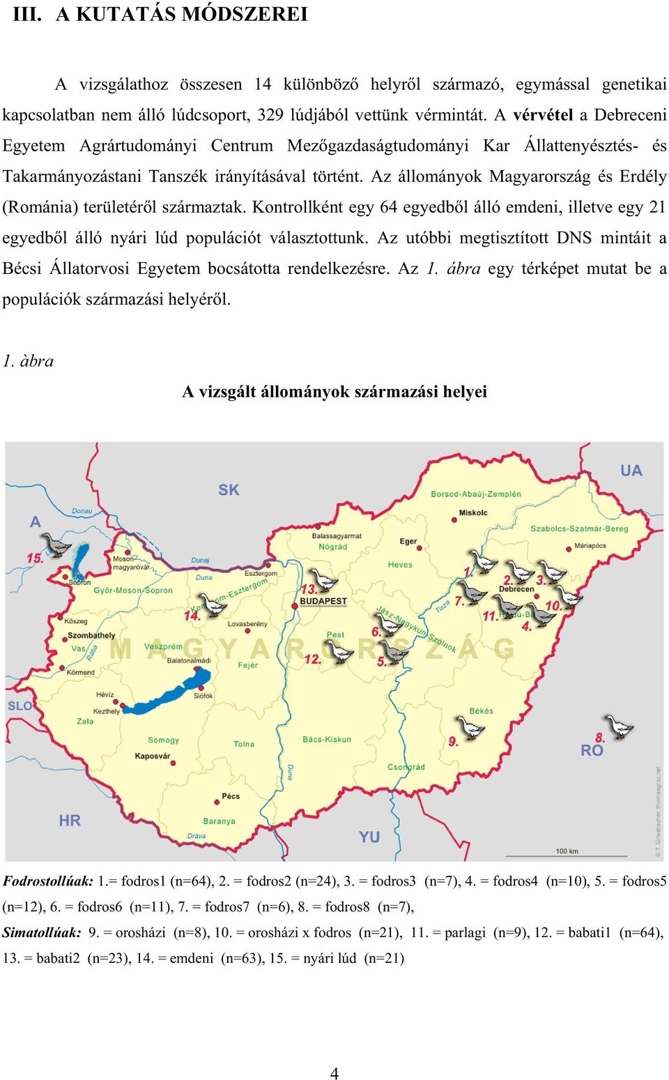 Az állományok Magyarország és Erdély (Románia) területérl származtak. Kontrollként egy 64 egyedbl álló emdeni, illetve egy 21 egyedbl álló nyári lúd populációt választottunk.