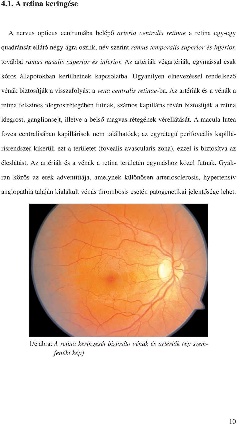 Ugyanilyen elnevezéssel rendelkezõ vénák biztosítják a visszafolyást a vena centralis retinae-ba.
