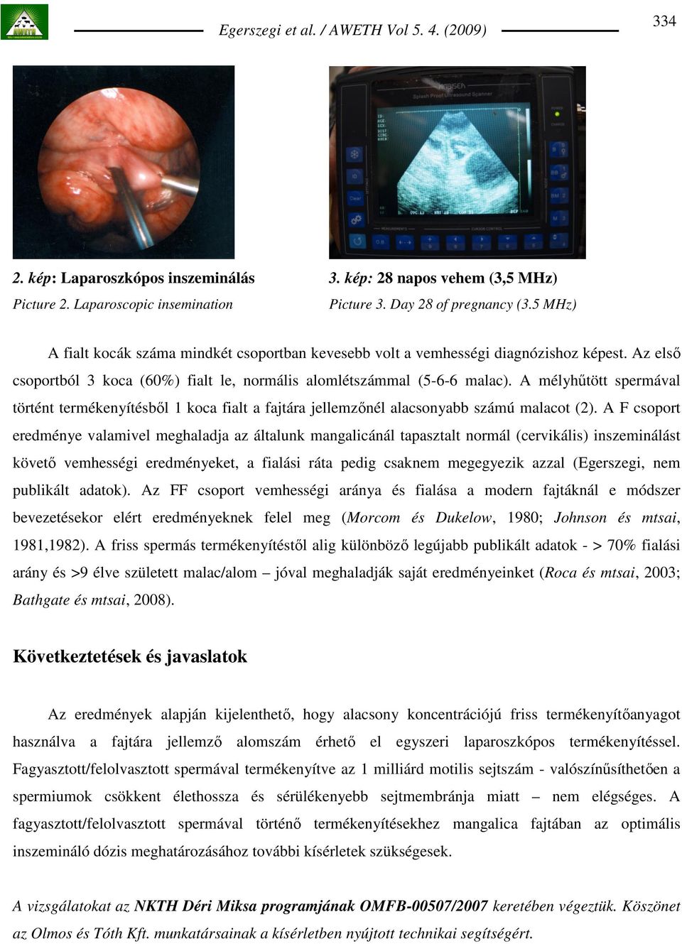 A mélyhőtött spermával történt termékenyítésbıl 1 koca fialt a fajtára jellemzınél alacsonyabb számú malacot (2).