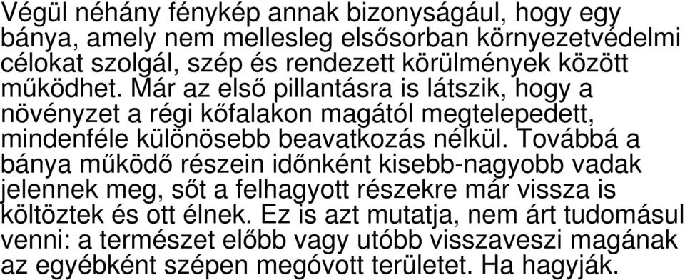 Már az elsı pillantásra is látszik, hogy a növényzet a régi kıfalakon magától megtelepedett, mindenféle különösebb beavatkozás nélkül.