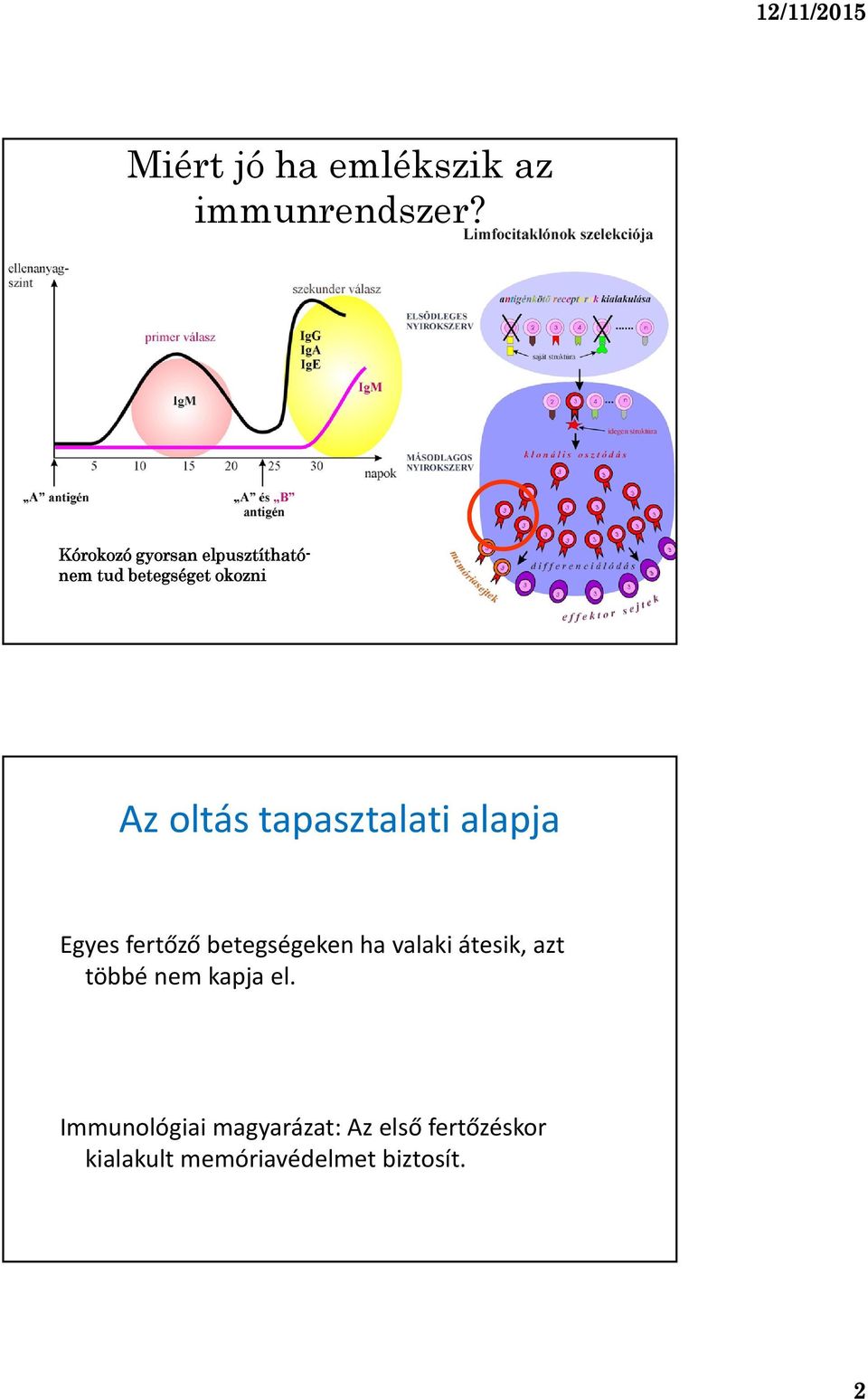 tapasztalati alapja Egyes fertőző betegségeken ha valaki átesik, azt