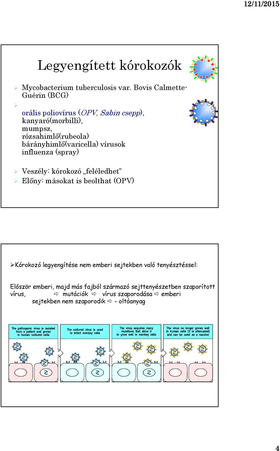 bárányhimlő(varicella) vírusok influenza (spray) Veszély: kórokozó feléledhet Előny: másokat is beolthat (OPV) Kórokozó