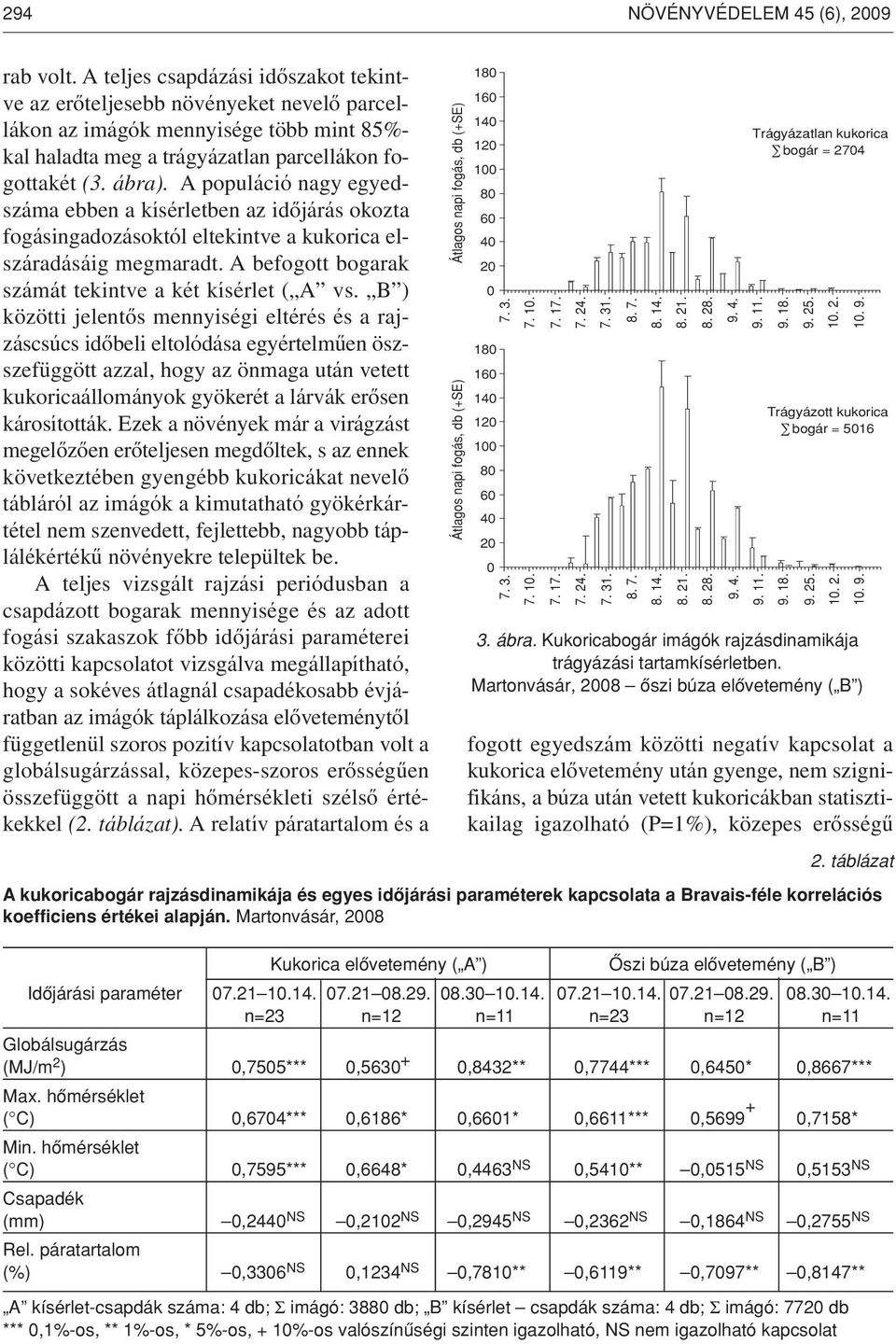 A populáció nagy egyedszáma ebben a kísérletben az idôjárás okozta fogásingadozásoktól eltekintve a kukorica elszáradásáig megmaradt. A befogott bogarak számát tekintve a két kísérlet ( A vs.