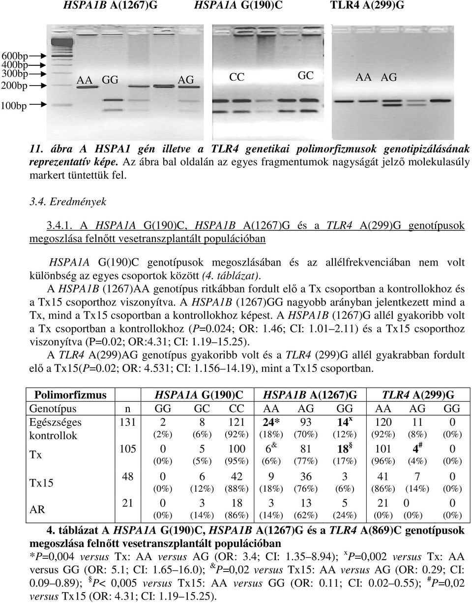 A HSPA1A G(19)C, HSPA1B A(1267)G és a TLR4 A(299)G genotípusok megoszlása felnőtt vesetranszplantált populációban HSPA1A G(19)C genotípusok megoszlásában és az allélfrekvenciában nem volt különbség