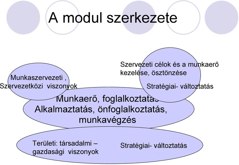 munkavégzés Szervezeti célok és a munkaerő kezelése, ösztönzése