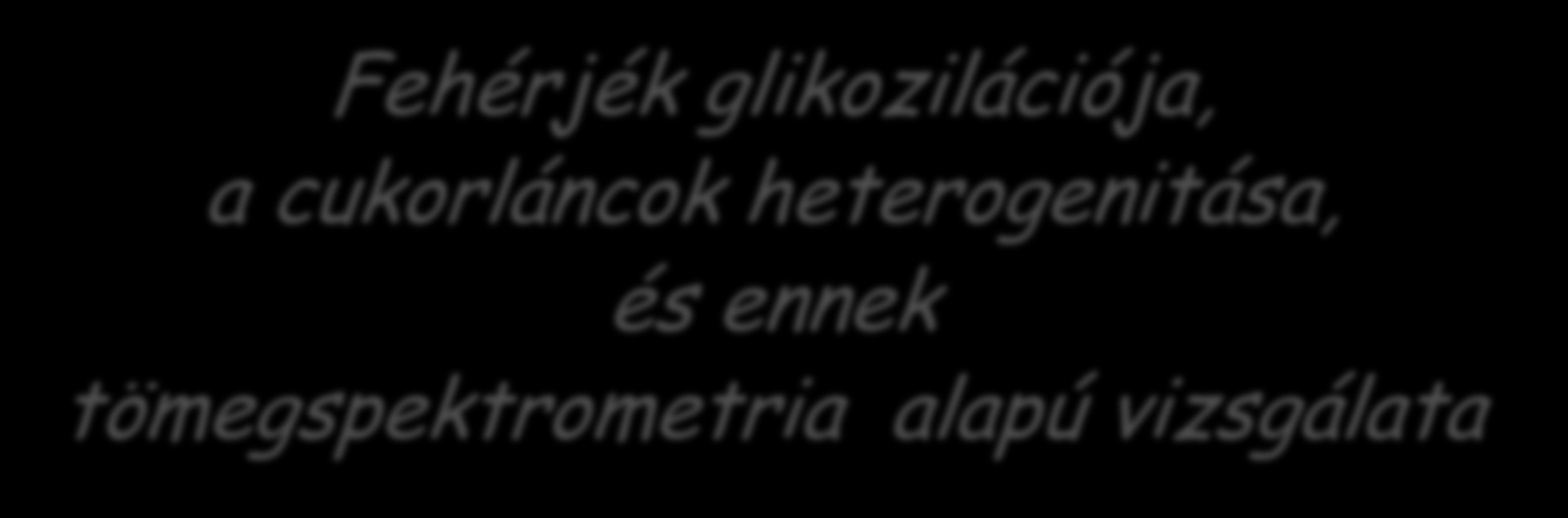 Fehérjék glikozilációja, a cukorláncok heterogenitása, és ennek tömegspektrometria