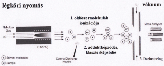 3. APCI (Atmospheric Pressure Chemical Ionization) Az APCI ionforrásban gáz fázisú kémiai ionizációs folyamat játszódik le, ahol az elpárologtatott mozgó fázis kémiai ionizáló szerként