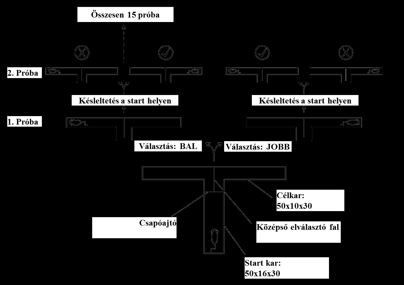 Az apparátus falai bútorlapból készültek és fekete fóliával lettek bevonva, az apparátust gyenge fénnyel világítottuk meg, a külső zajok zavaró hatásának kizárására fehér zajt alkalmaztunk. A) B) 1.