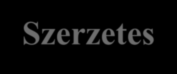 Szerzetes- és lovagrendek A 11. sz.-ban a fo.-i Citeaux-ban alapított ciszterci rend (bencések kiágazása) Clairvaux-i Szt. Bernát és társai működésének köszönhetően rohamosan elterjedt Ny-on.