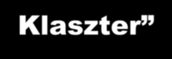 Sikeres referencia: a Bioenergetikai Innovációs Klaszter Kormányzati szervezetek K+F intézmények Egyetemi kutatócsoportok Stratégiai partnerek Kooperációs partnerek Innovációs Klaszter