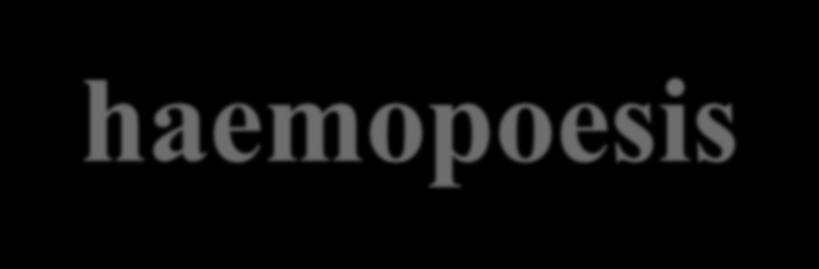 Felnőttkori élettani haemopoesis Alapvetően a csontvelőben A lymphoid sejtek érésében a perifériás nyirokszervek (nyirokcsomók, lép, thymus) is részt vesznek Haemopoeticus el nem