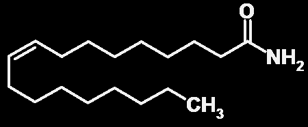 Példák az exokannabinoidok szerkezeti változatosságára H 2 N H Echinacea izobutilamid B 2 receptor agonista Raduner et al, 2006 H falkarinol B 1 receptor antagonista Leonti et al, 2010 H 2