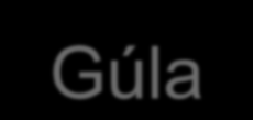 Gúla Az oldalélek közös kezdőpontjának az alapsíktól mért távolsága a gúla magassága.