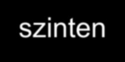 Az energia megoszlása egy trofikus szinten Fogyasztási hatékonyság: CE=I n /P n-1 (pl.