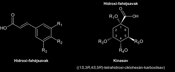 Név Rövidítés R 1 R 2 R 3 fahéjsav Fah H H H p-kumársav 4-hidroxi-fahéjsav pkum H OH H kávésav 3,4-dihidroxi-fahéjsav Kav OH OH H ferulasav 4-hidroxi-3-metoxi-fahéjsav Fer OCH3 OH H hidroxi-ferulasav