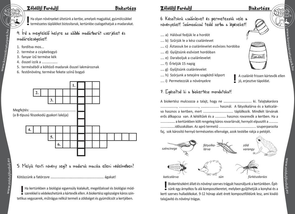 kertünkbe csalogathatjuk a madarakat. 1. fordítva mos... 2. termése a csipkebogyó 3. fanyar ízű termése kék 4. ősszel izzik a 5. terméséből a költöző madarak ősszel lakmároznak 6.