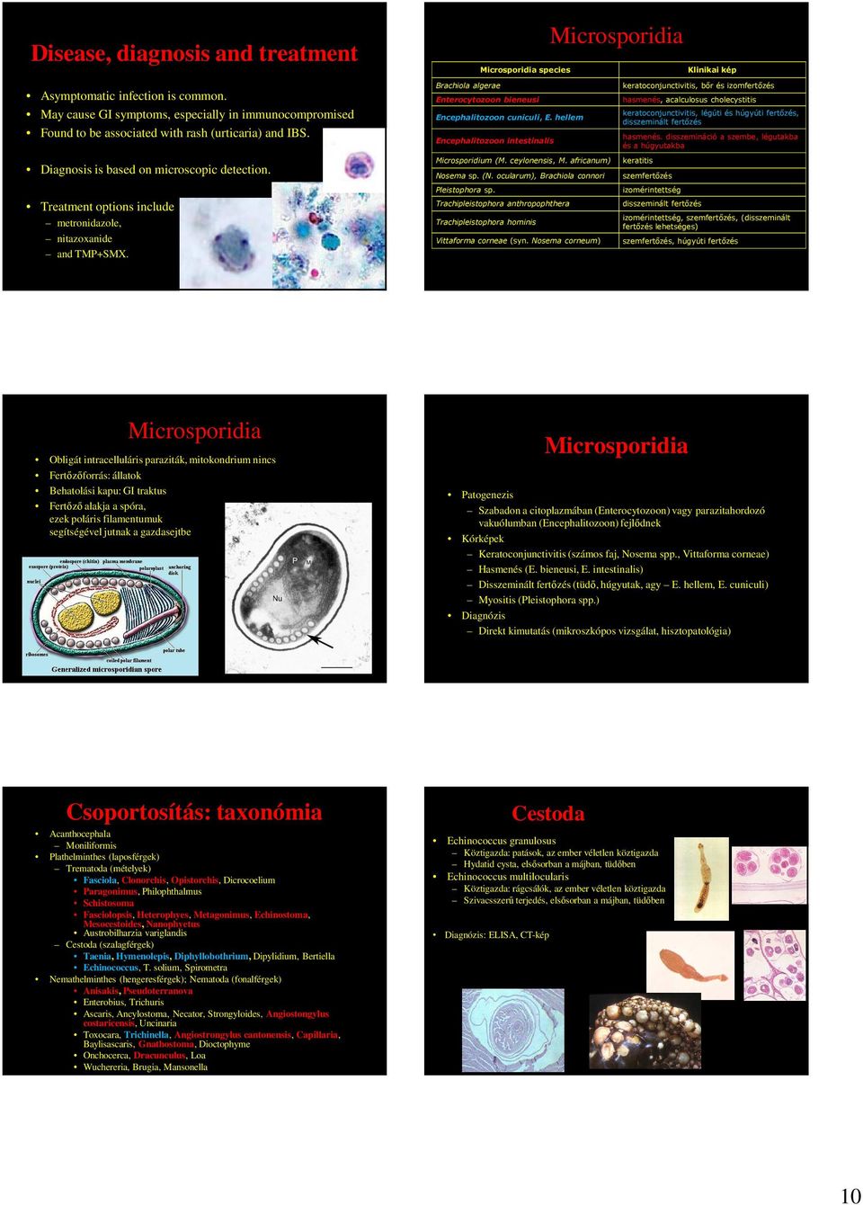 Treatment options include metronidazole, nitazoxanide and TMP+SMX. Brachiola algerae Enterocytozoon bieneusi Encephalitozoon cuniculi, E. hellem Encephalitozoon intestinalis Microsporidium (M.